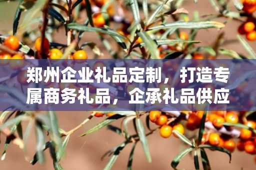 郑州企业礼品定制，打造专属商务礼品，企承礼品供应链助力企业发展
